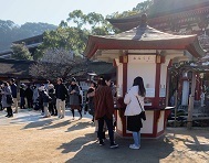 IMG_3222.JPG