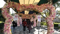 IMG_3229.JPG