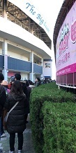 IMG_3231.JPG