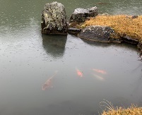 IMG_3520.JPG