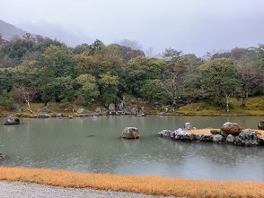 IMG_3521.JPG