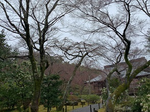 IMG_3523.JPG