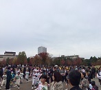 IMG_3550.JPG