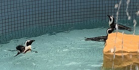 IMG_3559.JPG