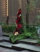 IMG_3568.JPG