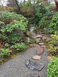 IMG_3570.JPG