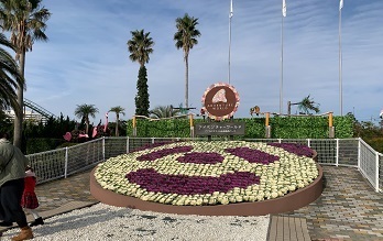 IMG_3573.JPG