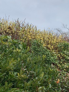IMG_3578.JPG