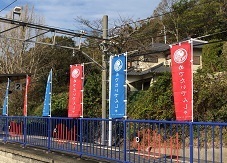 IMG_3588.JPG
