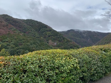 IMG_3591.JPG