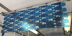 IMG_3595.JPG