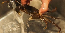 IMG_3671.JPG
