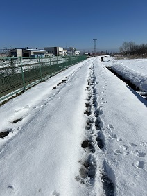 IMG_4095.JPG
