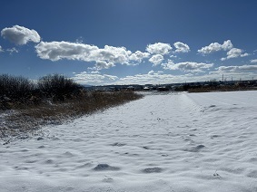 IMG_4096.JPG