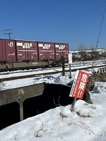 IMG_4098.JPG