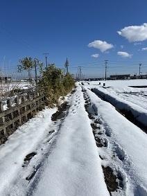 IMG_4099.JPG