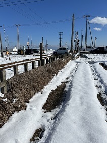 IMG_4100.JPG