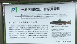IMG_4235.JPG