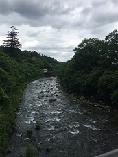 IMG_4264.JPG