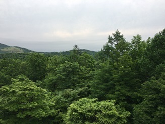 IMG_4325.JPG
