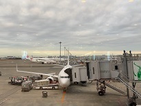 IMG_4327.JPG