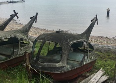 IMG_4354.JPG