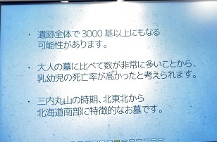 IMG_4482.JPG