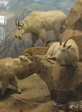 IMG_4568.JPG