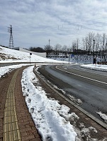 IMG_4582.JPG