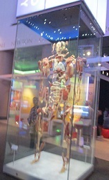 IMG_4848.JPG