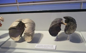 IMG_4857.JPG