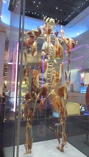 IMG_4859.JPG
