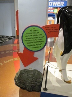 IMG_4897.JPG