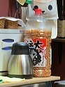 IMG_4917.JPG
