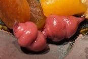 IMG_5056.JPG