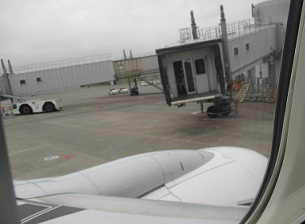 IMG_5252.JPG