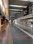 IMG_5276.JPG