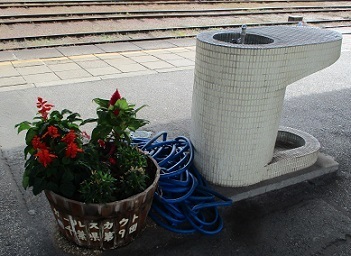 IMG_5420.JPG