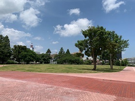 IMG_5452.JPG