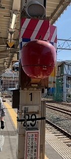 IMG_5510.JPG
