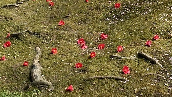 IMG_5557.JPG