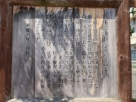 IMG_5692.JPG