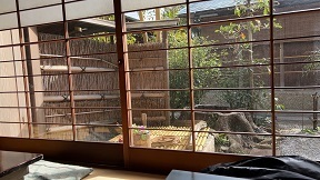 IMG_5710.JPG