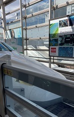 IMG_5767.JPG