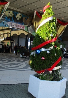 IMG_5787.JPG