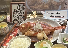 IMG_5856.JPG