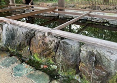 IMG_5878.JPG