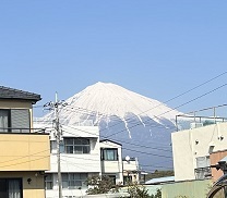 IMG_5907.JPG