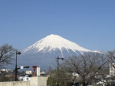IMG_5914.JPG