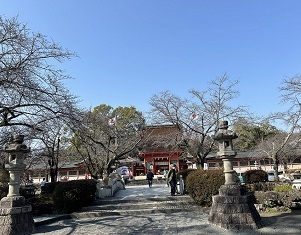 IMG_5916.JPG